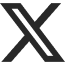 Icono de x